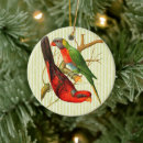 Search for green parrot christmas tree decorations Cute
