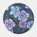 Search for phlox magnets Purple