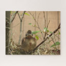 Search for cardinal puzzles Nature