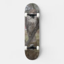 Search for hawk skateboards Animal