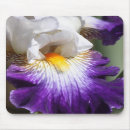 Search for deep mousepads Purple