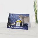 Search for funny cat mothers day cards Kitten