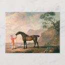 Search for spencer postcards Collection