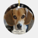 Search for beagle decor Animals