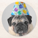Search for pug coasters Funny