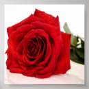 Search for digital realism art Rose
