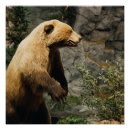Search for wildlife conservation posters Hunting