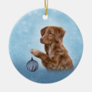 Search for nova scotia christmas tree decorations Colourful