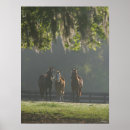 Search for three quarter posters Horses
