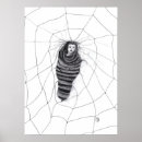 Search for spider webs posters Spooky