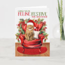 Search for tabby christmas cards Pets