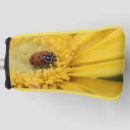 Search for ladybug golf equipment Red