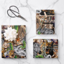 Search for animals of wild wrapping paper Elephant
