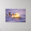 Search for sea otter canvas prints Nature