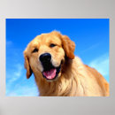 Search for golden retriever christmas art Pet