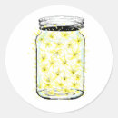 Search for fireflies stickers Insect