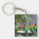 Search for rainbow bird key rings Colorful
