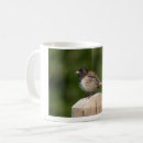 Search for junco mugs Snowbird
