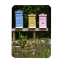 Search for beehive magnets Bees