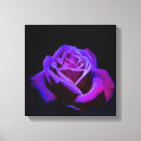 Search for drop canvas prints Flower