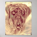 Search for brindle posters Pets