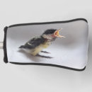 Search for parus Bird