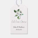 Search for jasmine Floral