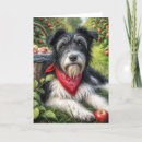 Search for apple orchard cards Harvest