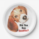 Search for beagle plates Puppy