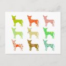Search for pedigree postcards Mammal
