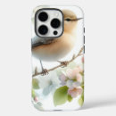 Search for spring birds iphone cases Nature