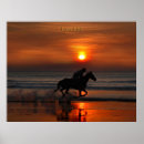 Search for sea life posters Orange