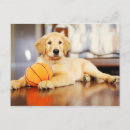 Search for basketball postcards Play