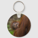 Search for apes key rings Cute