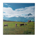 Search for swiss tiles Cow