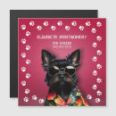 Search for dog grooming magnets Puppy