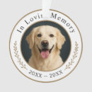 Search for pet supplies Sympathy