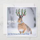Search for world peace cards Peace on earth