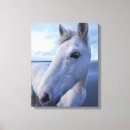 Search for horse ranch art Wildlife