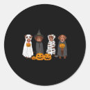 Search for brown lab stickers Chocolate