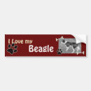 Search for beagle bumper stickers Puppies