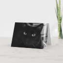 Search for silly cat birthday cards Black