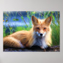 Search for grasses posters Wildlife