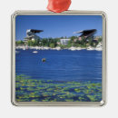 Search for seattle christmas tree decorations Boat