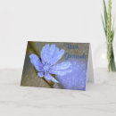 Search for shimmer cards Blue