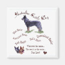 Search for cattle magnets Cute