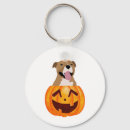 Search for pitbull key rings Cute