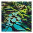 Search for indonesian art Travel