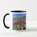 Search for anza mugs Desert