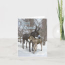 Search for donkey christmas cards Winter
